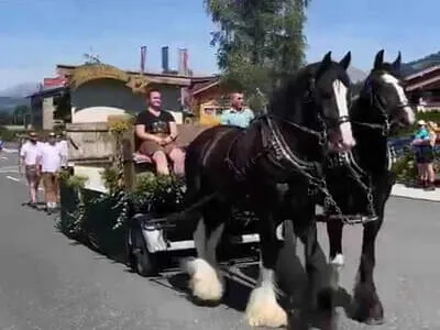 2023 Bezirksmusikfest Bild 2