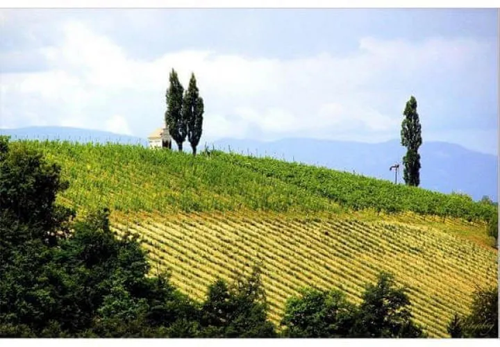 2020-Herbstreise-Suedsteiermark 2020-Herbstreise-Suedsteiermark